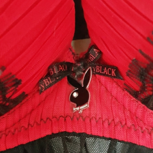 AMAZING DEADSTOCK VINTAGE PLAYBOY SLIP DRESS / SHEER CAMI 🍒 - Picture 2 of 2